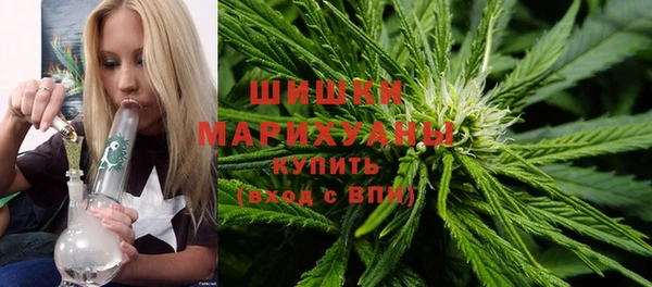 spice Липки