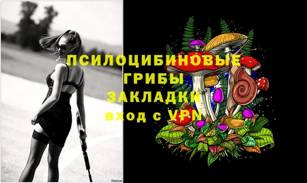 гашик Лихославль