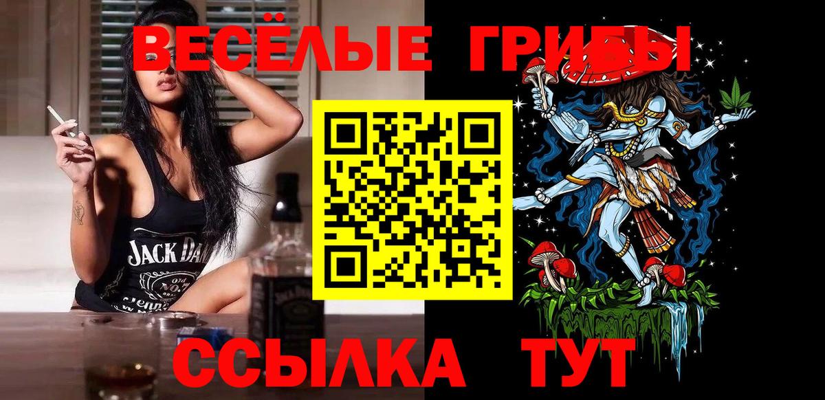 Псилоцибиновые грибы мицелий Улан-Удэ