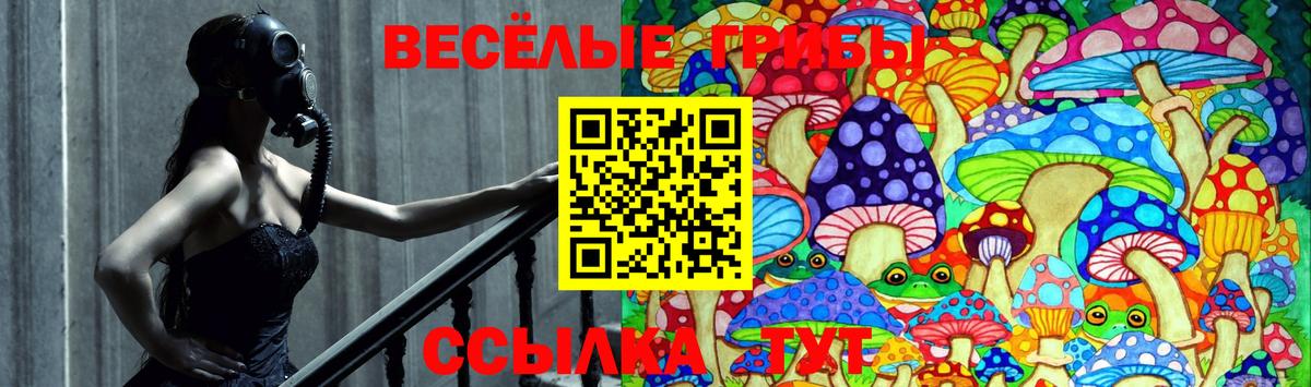 Улан-Удэ  Псилоцибиновые грибы мицелий  Вход с VPN  Псилоцибиновые грибы мицелий 